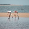 Mozambique Sets Its Sights on UK Travellers as Tourism Grows Ahead of 2027
